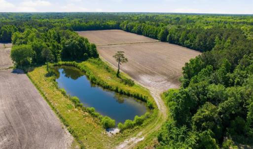 Photo #8 of 9475 Lake Swamp Rd., Nichols, SC 179.0 acres