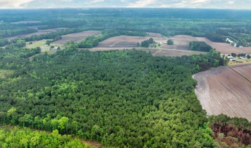 Photo #26 of 9475 Lake Swamp Rd., Nichols, SC 179.0 acres