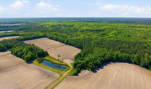 Photo #18 of 9475 Lake Swamp Rd., Nichols, SC 179.0 acres