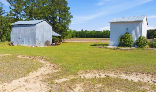Photo #6 of 9475 Lake Swamp Rd., Nichols, SC 179.0 acres