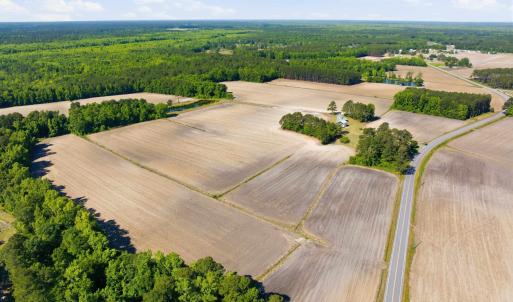 Photo #20 of 9475 Lake Swamp Rd., Nichols, SC 179.0 acres
