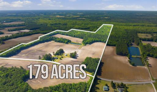 Photo #1 of 9475 Lake Swamp Rd., Nichols, SC 179.0 acres