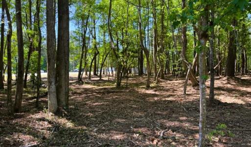 Photo #12 of 9904 Highway 17 North, McClellanville, SC 3.2 acres