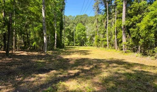 Photo #5 of 9904 Highway 17 North, McClellanville, SC 3.2 acres