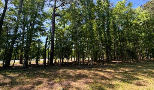 Photo #7 of 9904 Highway 17 North, McClellanville, SC 3.2 acres