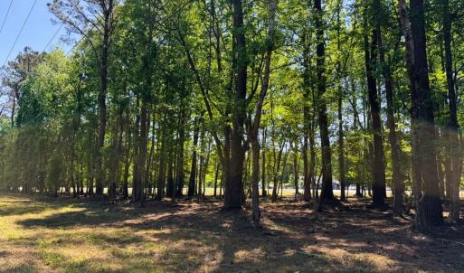 Photo #10 of 9904 Highway 17 North, McClellanville, SC 3.2 acres