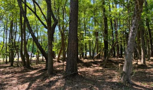 Photo #11 of 9904 Highway 17 North, McClellanville, SC 3.2 acres