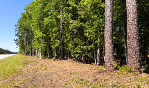 Photo #3 of 9904 Highway 17 North, McClellanville, SC 3.2 acres