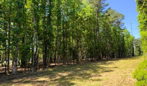 Photo #9 of 9904 Highway 17 North, McClellanville, SC 3.2 acres