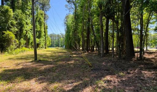 Photo #13 of 9904 Highway 17 North, McClellanville, SC 3.2 acres
