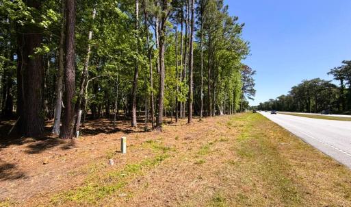 Photo #18 of 9904 Highway 17 North, McClellanville, SC 3.2 acres