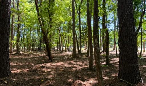 Photo #16 of 9904 Highway 17 North, McClellanville, SC 3.2 acres