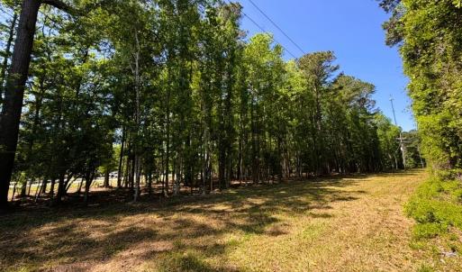 Photo #8 of 9904 Highway 17 North, McClellanville, SC 3.2 acres