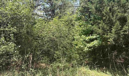 Photo #3 of Lot 1 Brantly Rd., Andrews, SC 1.1 acres