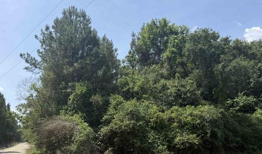 Photo #4 of Lot 1 Brantly Rd., Andrews, SC 1.1 acres