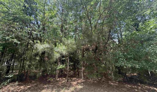 Photo #1 of Lot 1 Brantly Rd., Andrews, SC 1.1 acres