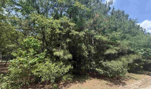 Photo #2 of Lot 1 Brantly Rd., Andrews, SC 1.1 acres