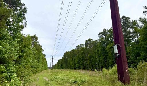 Photo #3 of Tract A - TBD Pennyroyal Rd., Georgetown, SC 25.0 acres