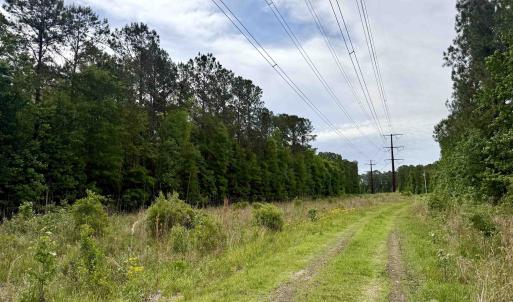 Photo #2 of Tract A - TBD Pennyroyal Rd., Georgetown, SC 25.0 acres