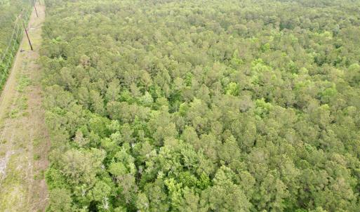 Photo #12 of Tract A - TBD Pennyroyal Rd., Georgetown, SC 25.0 acres