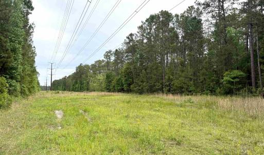 Photo #4 of Tract A - TBD Pennyroyal Rd., Georgetown, SC 25.0 acres