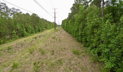 Photo #11 of Tract A - TBD Pennyroyal Rd., Georgetown, SC 25.0 acres