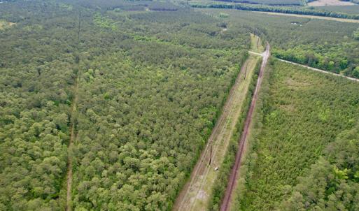 Photo #6 of Tract A - TBD Pennyroyal Rd., Georgetown, SC 25.0 acres