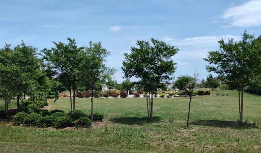 Photo #3 of TBD Ronald McNair Blvd., Myrtle Beach, SC 1.2 acres