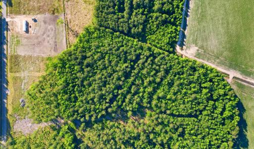 Photo #3 of TBD Sawyer Rd., Marion, SC 1.1 acres