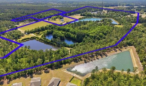 Photo #4 of 101 Acres Old Highway 90, Conway, SC 101.5 acres