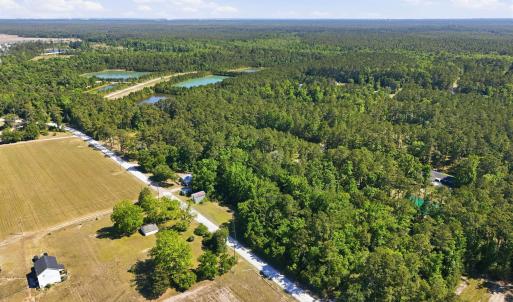 Photo #10 of 101 Acres Old Highway 90, Conway, SC 101.5 acres