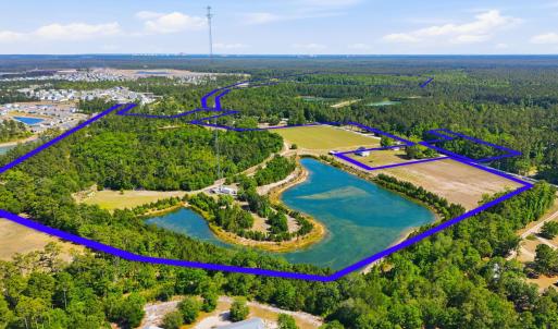 Photo #1 of 101 Acres Old Highway 90, Conway, SC 101.5 acres