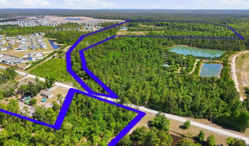 Photo #6 of 101 Acres Old Highway 90, Conway, SC 101.5 acres