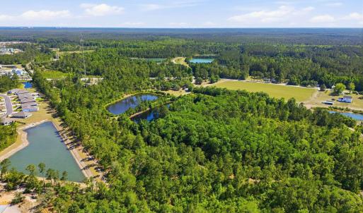 Photo #9 of 101 Acres Old Highway 90, Conway, SC 101.5 acres