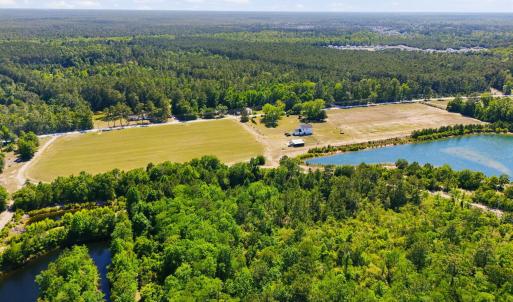 Photo #5 of 101 Acres Old Highway 90, Conway, SC 101.5 acres