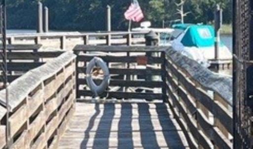 Photo #7 of 1791 Old Town Ave., Georgetown, SC 0.2 acres
