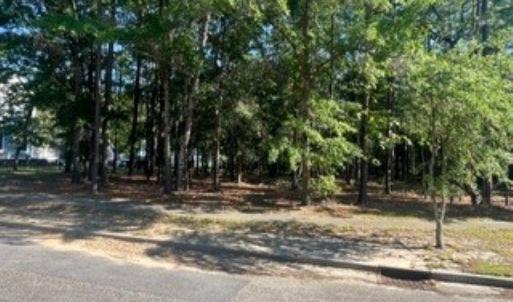 Photo #2 of 1791 Old Town Ave., Georgetown, SC 0.2 acres
