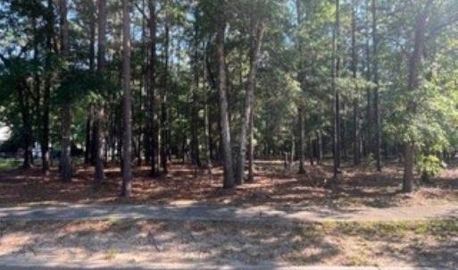 Photo #1 of 1791 Old Town Ave., Georgetown, SC 0.2 acres