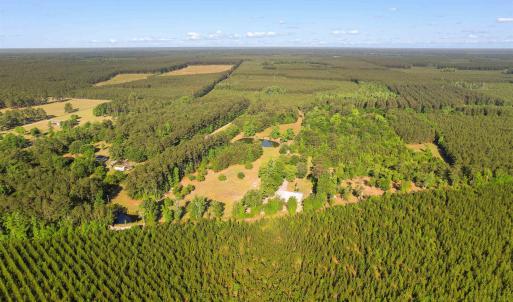 Photo #1 of 1040 Wee Tee Rd., Andrews, SC 20.4 acres