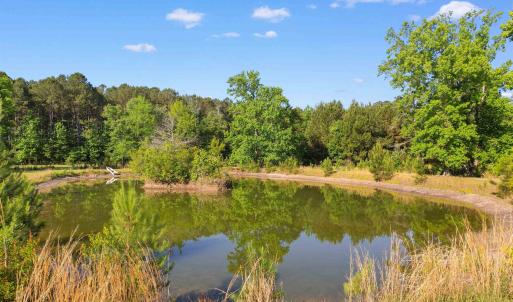 Photo #14 of 1040 Wee Tee Rd., Andrews, SC 20.4 acres