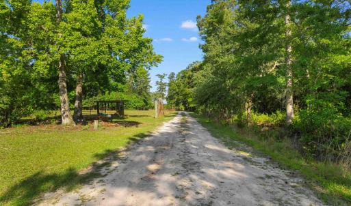 Photo #53 of 1040 Wee Tee Rd., Andrews, SC 20.4 acres
