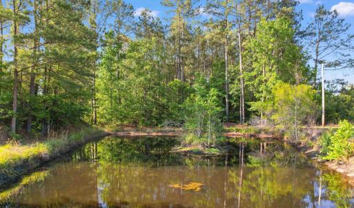 Photo #6 of 1040 Wee Tee Rd., Andrews, SC 20.4 acres