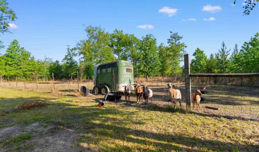 Photo #17 of 1040 Wee Tee Rd., Andrews, SC 20.4 acres