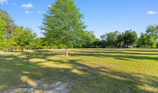 Photo #18 of 1040 Wee Tee Rd., Andrews, SC 20.4 acres
