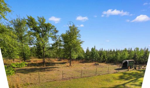 Photo #5 of 1040 Wee Tee Rd., Andrews, SC 20.4 acres
