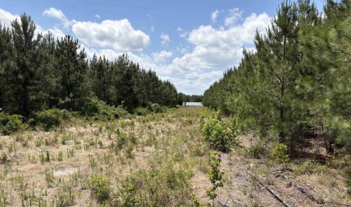 Photo #4 of Highway 501 Bypass, Marion, SC 18.7 acres