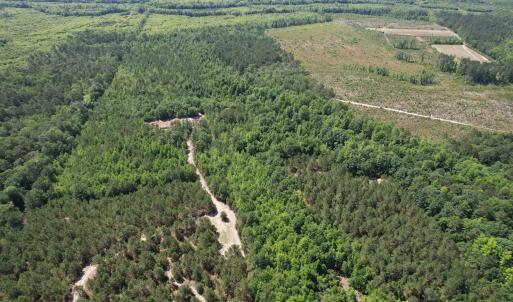 Photo #14 of 43 Acres - 5432 Juneburn Rd., Manning, SC 43.0 acres