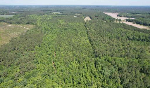 Photo #20 of 43 Acres - 5432 Juneburn Rd., Manning, SC 43.0 acres