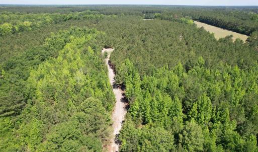 Photo #23 of 43 Acres - 5432 Juneburn Rd., Manning, SC 43.0 acres