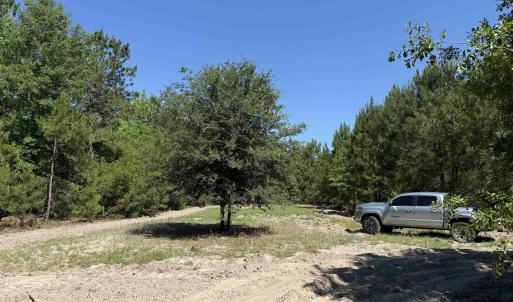 Photo #10 of 43 Acres - 5432 Juneburn Rd., Manning, SC 43.0 acres